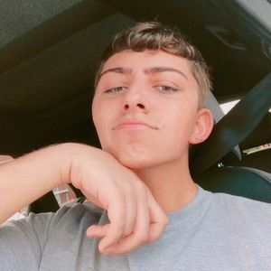 Meet your Posher, Frankie